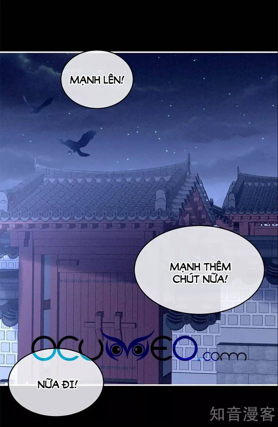 Hậu Cung Của Nữ Đế Nettruyen ZZZ Chương 162 Page 15
