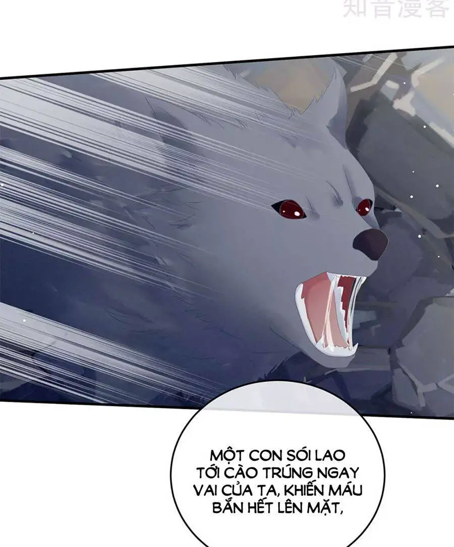 Hậu Cung Của Nữ Đế Nettruyen ZZZ Chương 178 Page 26