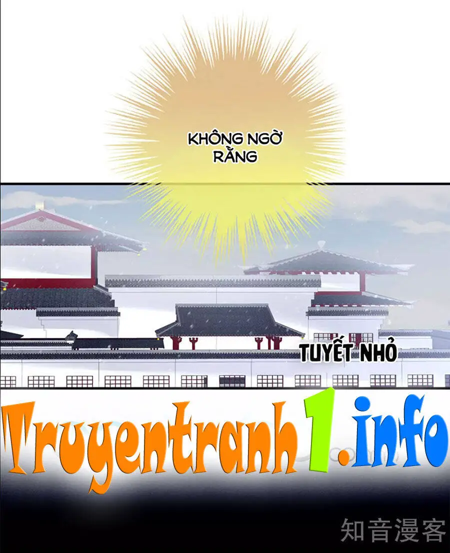 Hậu Cung Của Nữ Đế Nettruyen ZZZ Chương 119 Page 17