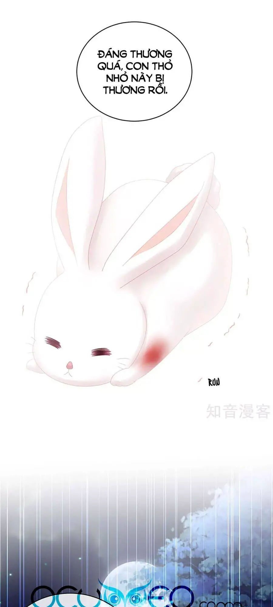 Hậu Cung Của Nữ Đế Nettruyen ZZZ Chương 113 Page 34