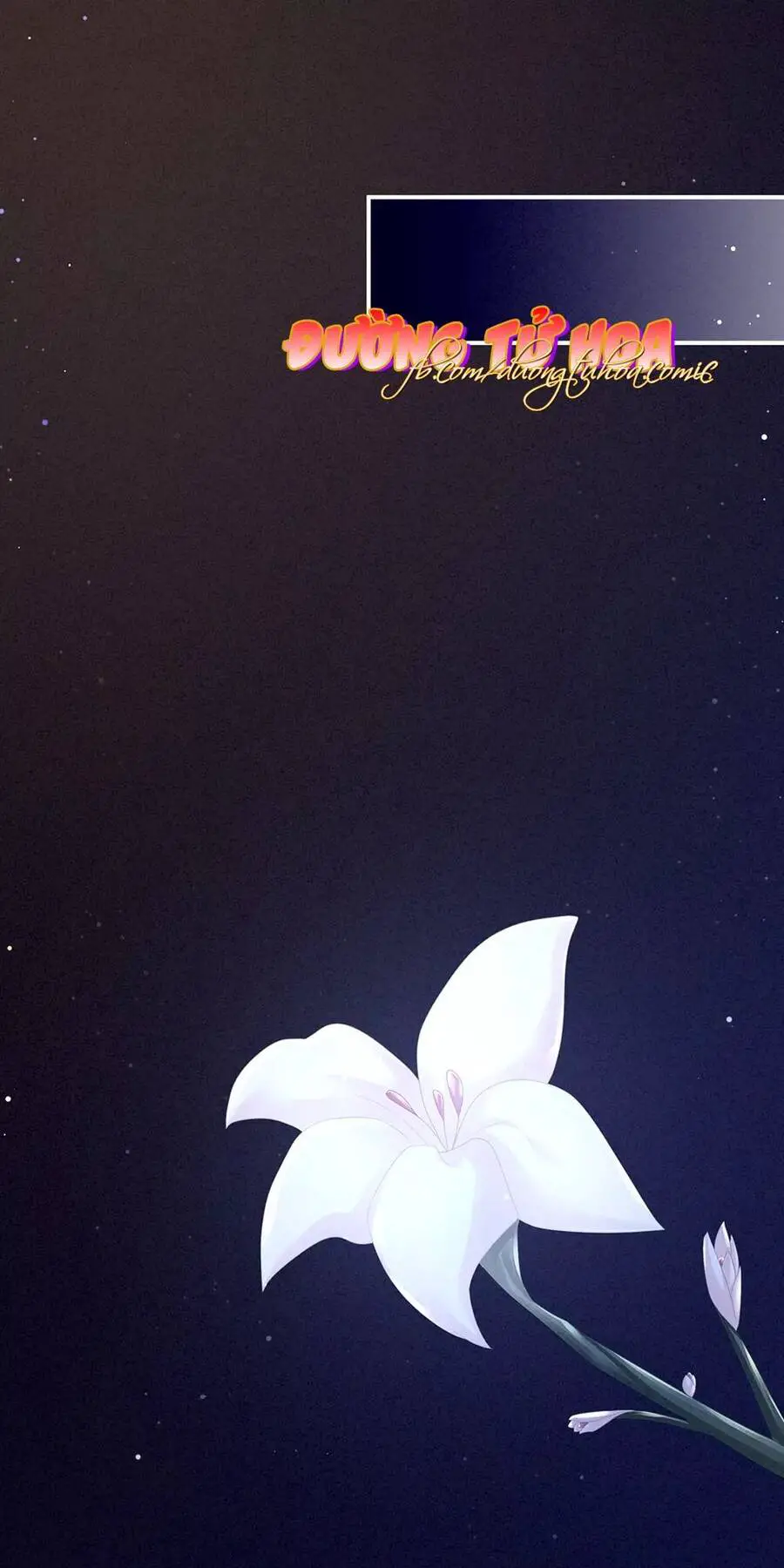 Hậu Cung Của Nữ Đế Nettruyen ZZZ Chương 56 Page 11
