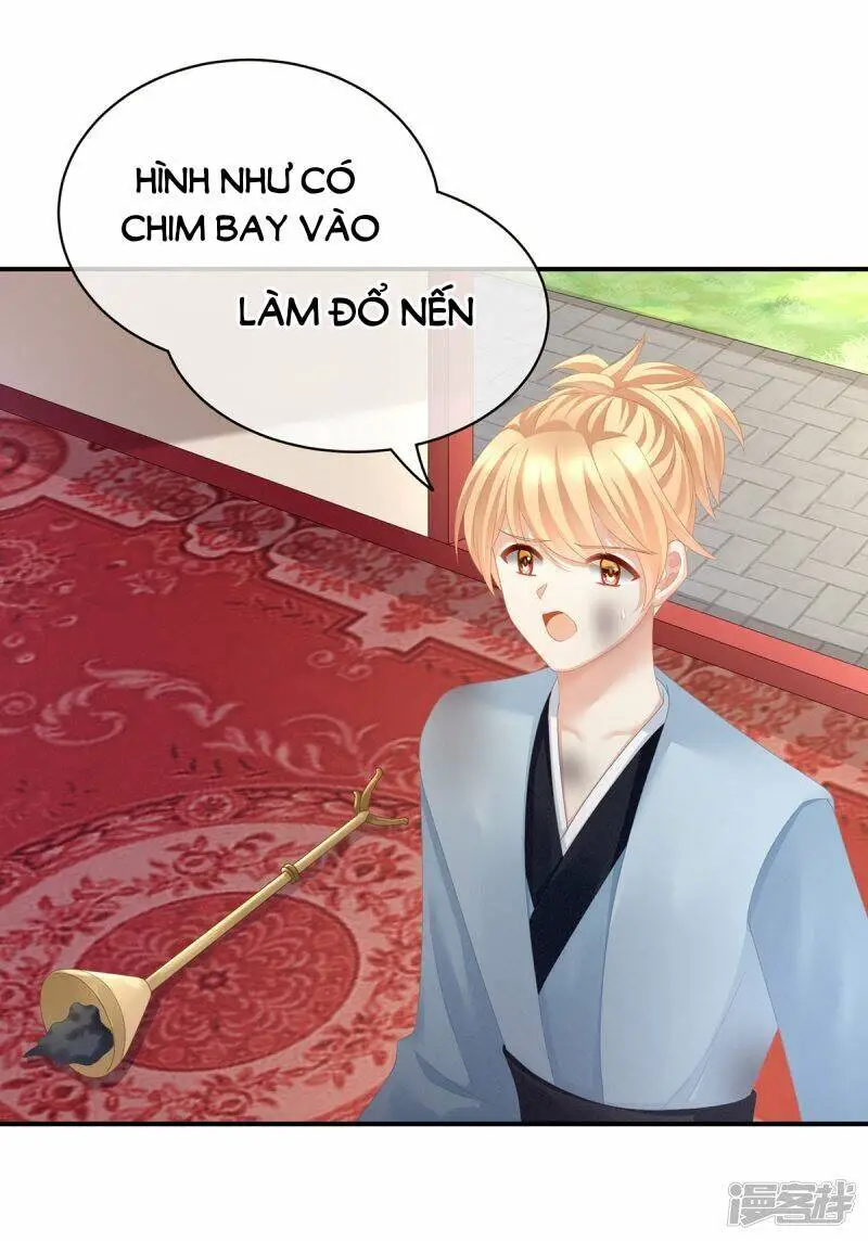 Hậu Cung Của Nữ Đế Nettruyen ZZZ Chương 102 Page 42
