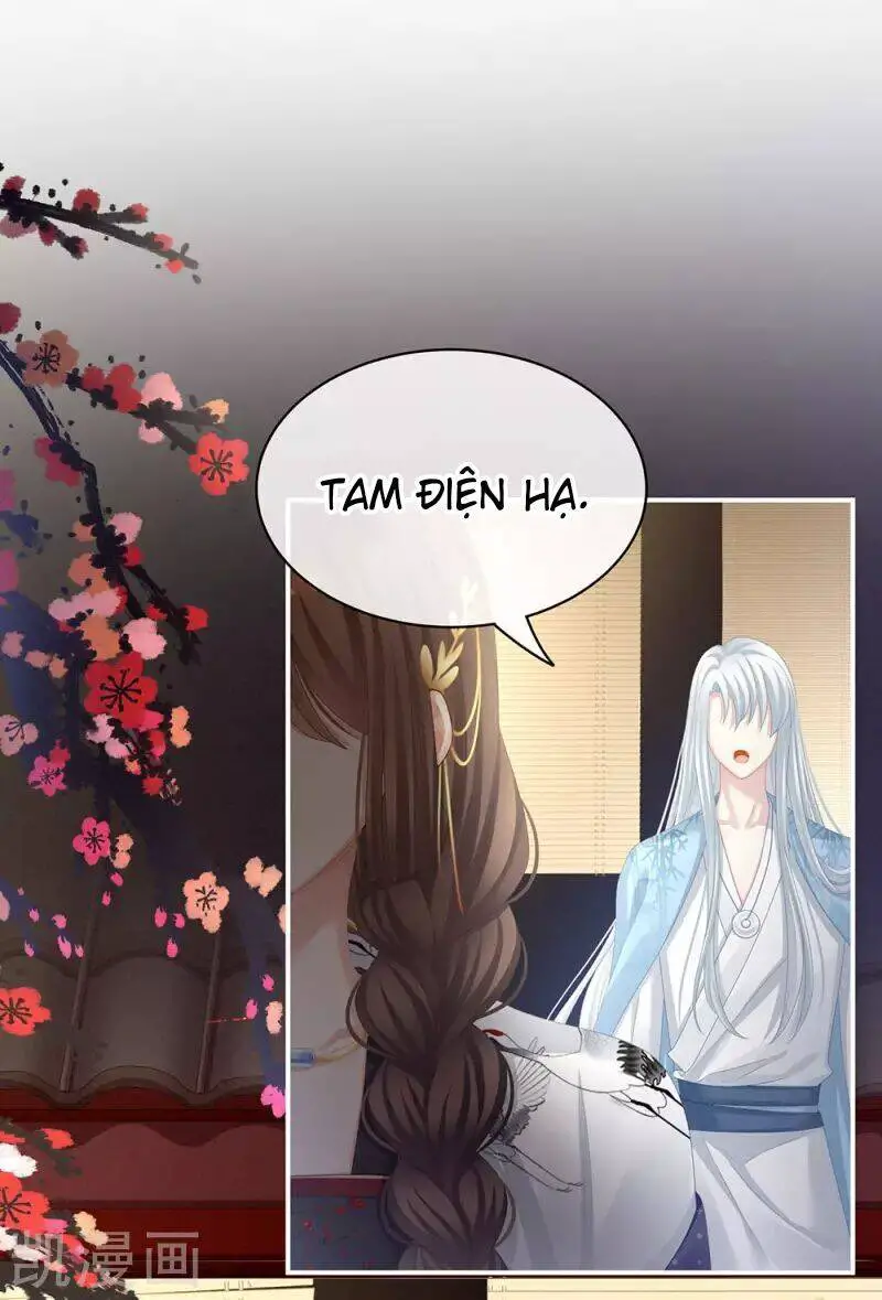 Hậu Cung Của Nữ Đế Nettruyen ZZZ Chương 73 Page 8
