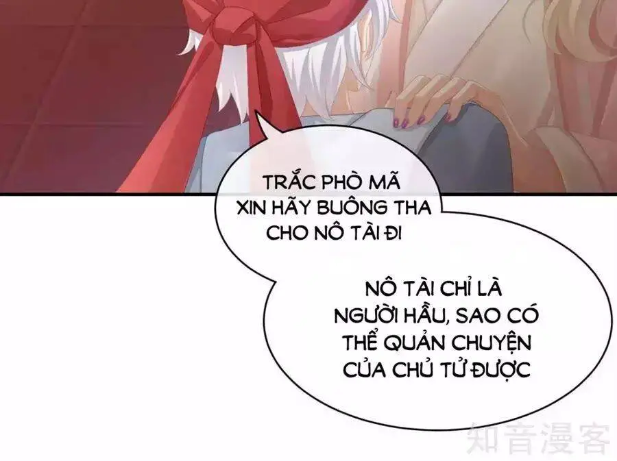 Hậu Cung Của Nữ Đế Nettruyen ZZZ Chương 87 Page 33