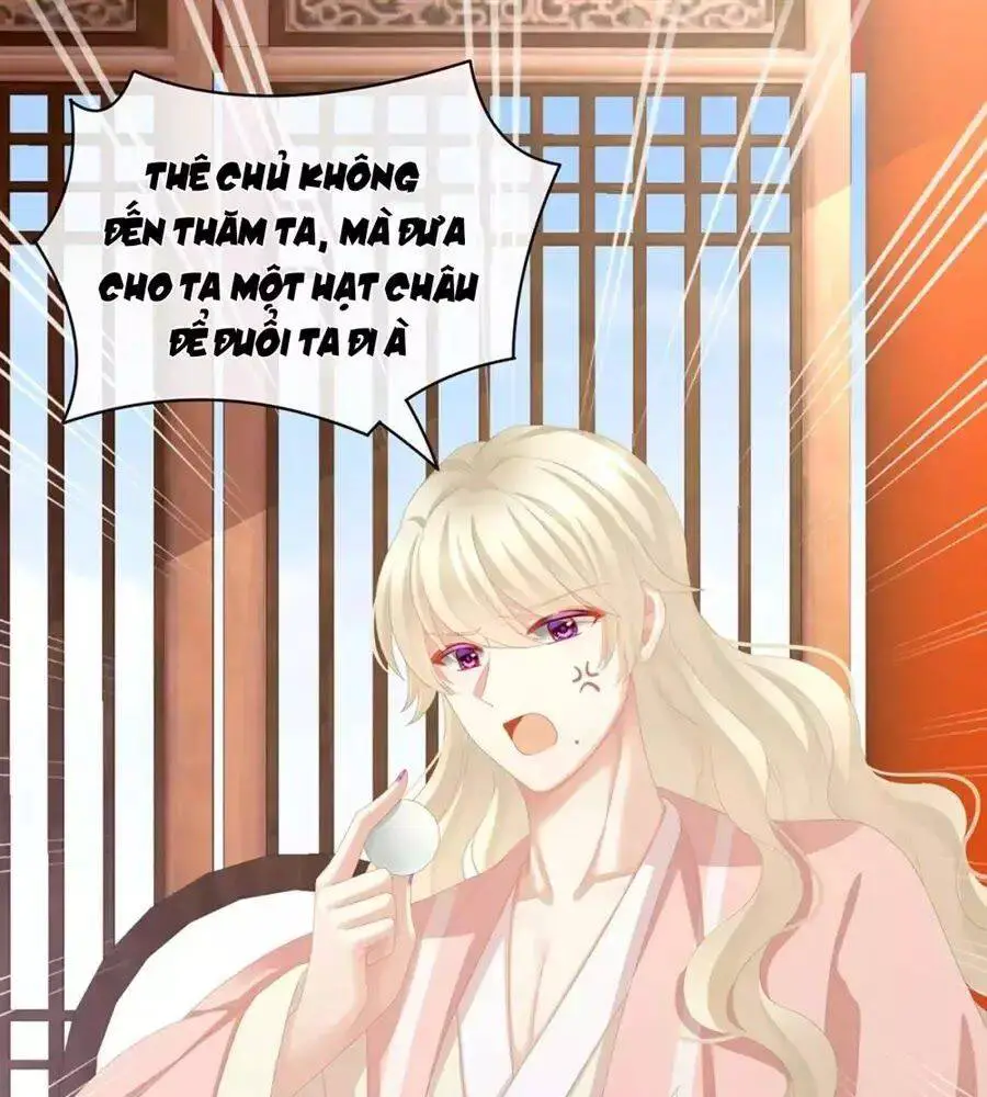 Hậu Cung Của Nữ Đế Nettruyen ZZZ Chương 87 Page 35