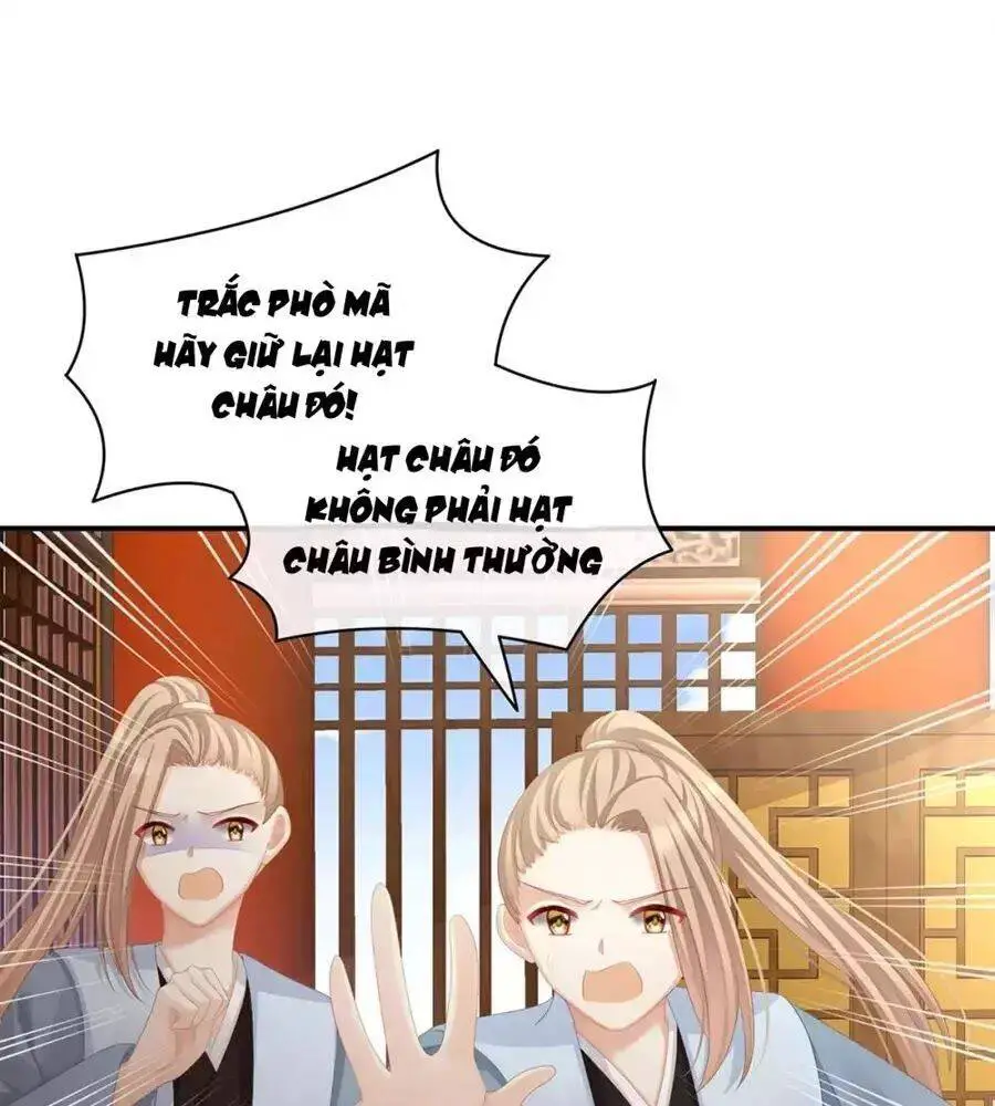 Hậu Cung Của Nữ Đế Nettruyen ZZZ Chương 87 Page 39