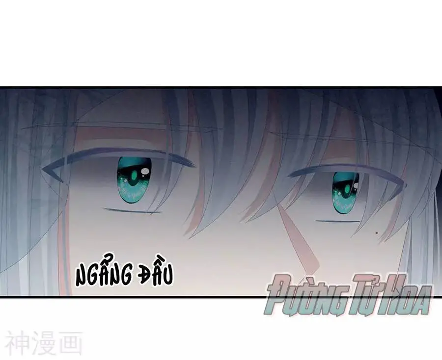 Hậu Cung Của Nữ Đế Nettruyen ZZZ Chương 69 Page 9