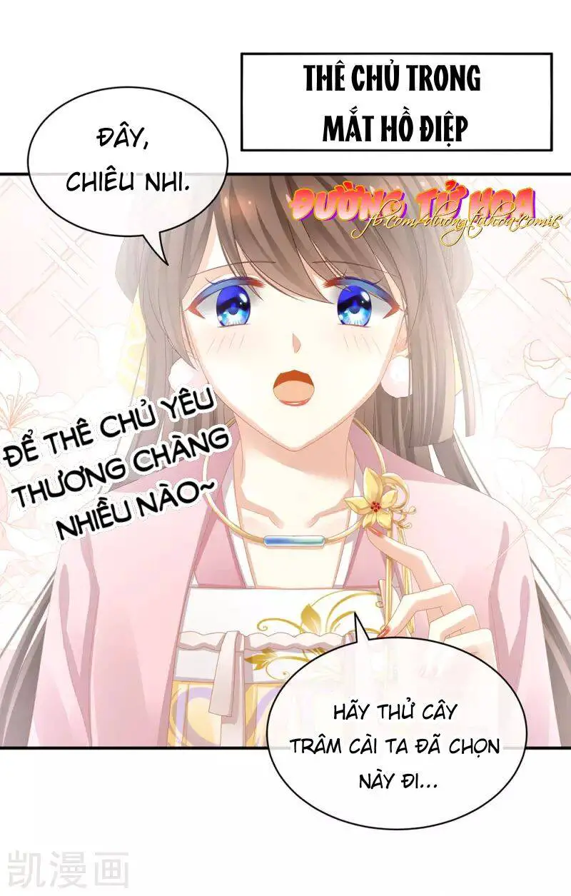 Hậu Cung Của Nữ Đế Nettruyen ZZZ Chương 61 Page 14