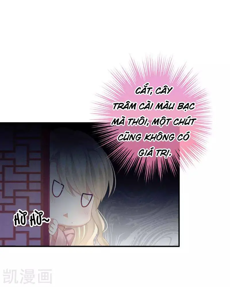 Hậu Cung Của Nữ Đế Nettruyen ZZZ Chương 61 Page 22
