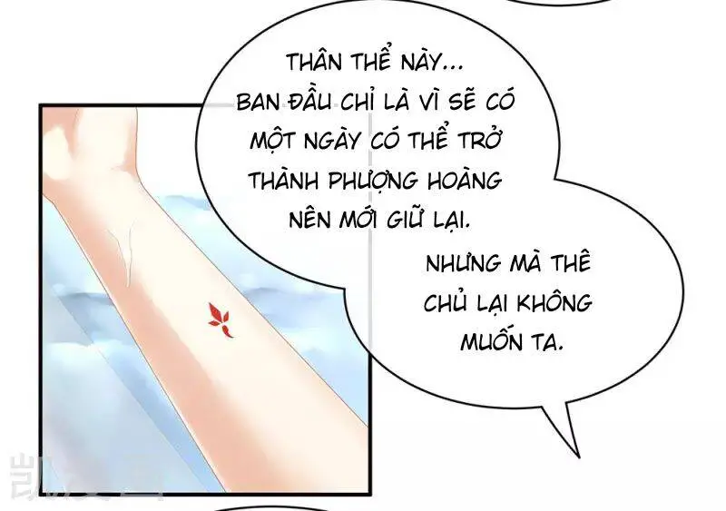 Hậu Cung Của Nữ Đế Nettruyen ZZZ Chương 60 Page 2
