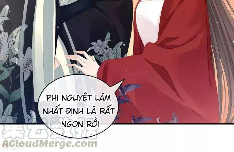 Hậu Cung Của Nữ Đế Nettruyen ZZZ Chương 82 Page 61