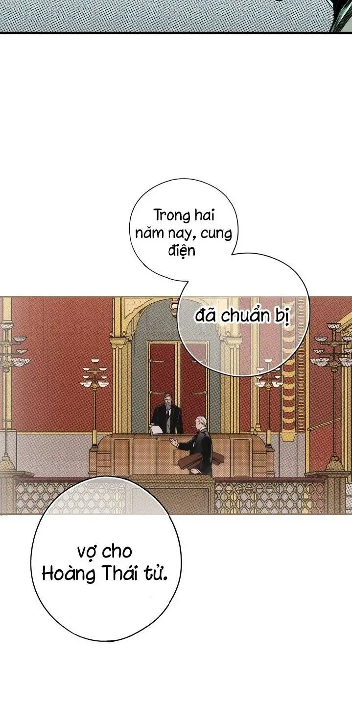 Câu Chuyện Cổ Tích Của Mẹ Kế Nettruyen ZZZ Chương 33 Page 21