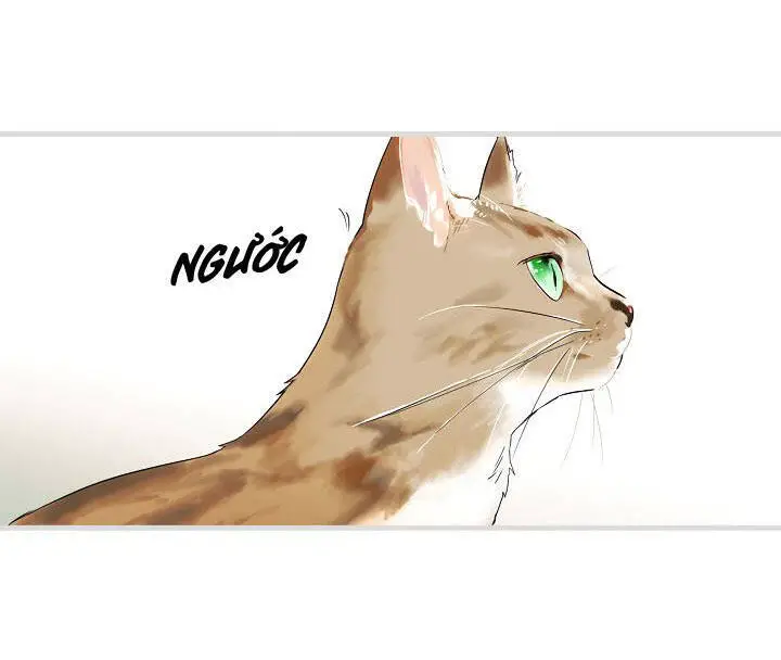 Câu Chuyện Cổ Tích Của Mẹ Kế Nettruyen ZZZ Chương 54 Page 70