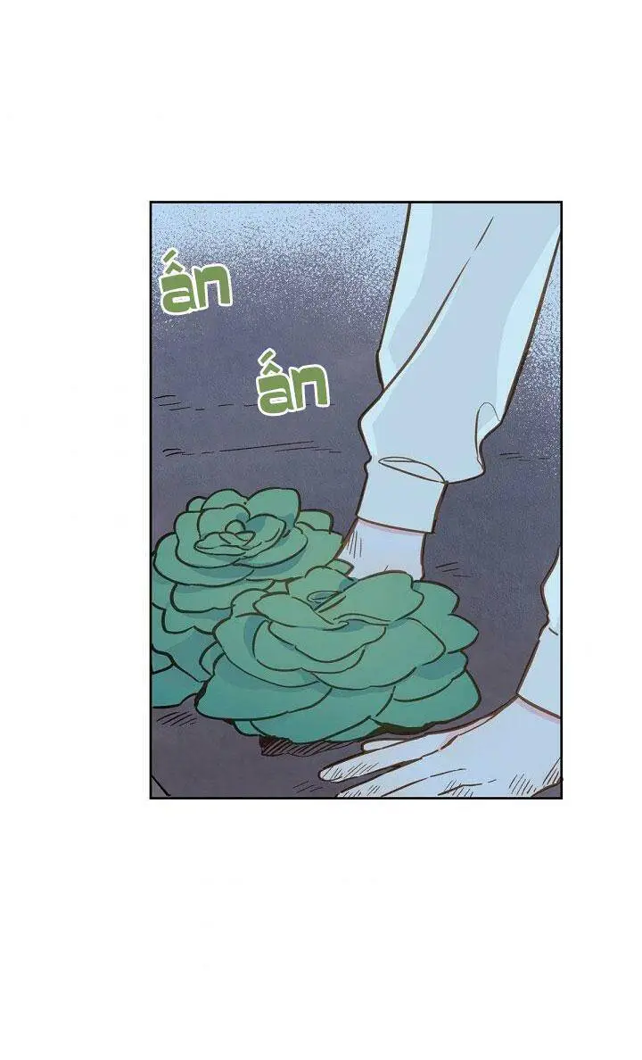 Trang Trại Hạt Dẻ Gần Cung Điện Hoàng Gia Nettruyen ZZZ Chương 16 Page 61