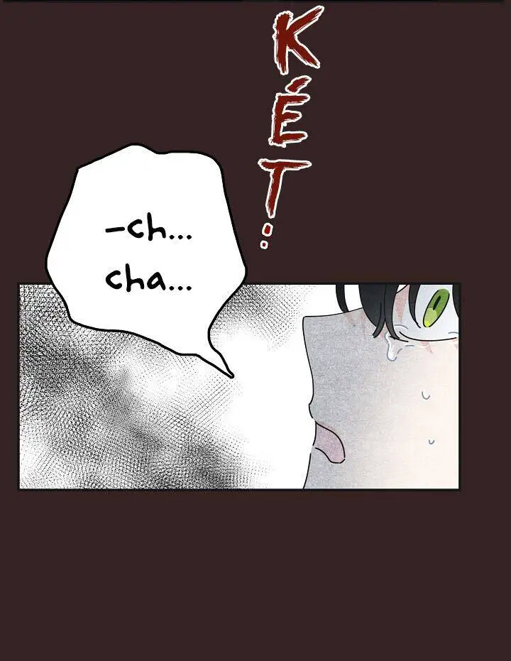 Người Hùng Của Ác Nữ Nettruyen ZZZ Chương 29 Page 7