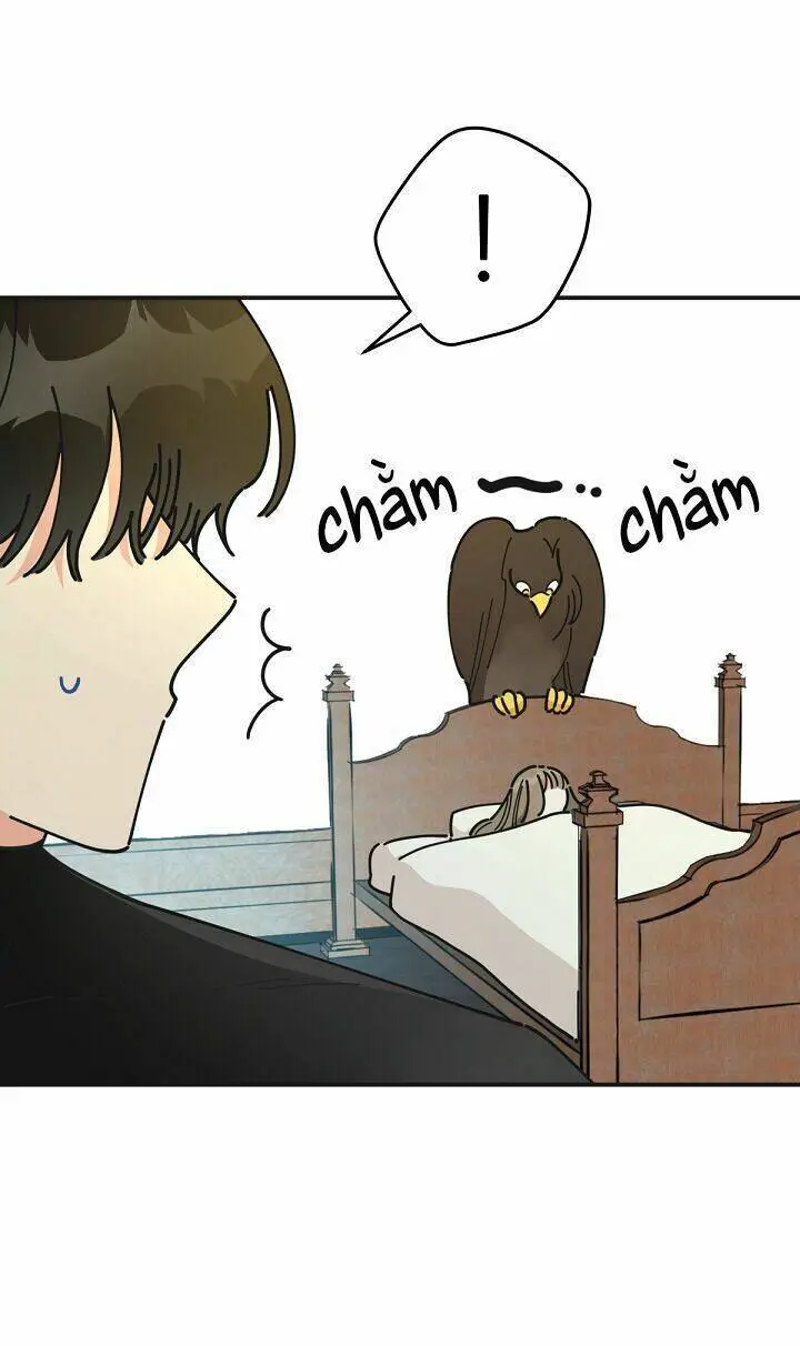 Người Hùng Của Ác Nữ Nettruyen ZZZ Chương 60 Page 18