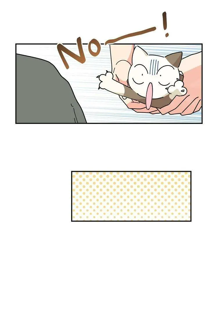 Người Hùng Của Ác Nữ Nettruyen ZZZ Chương 49 Page 57
