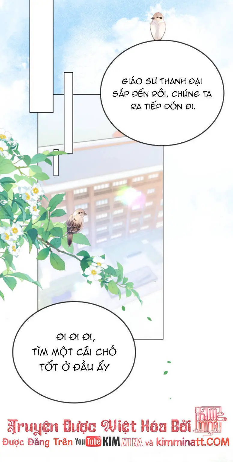 Thân Phận Của Phu Nhân Làm Chấn Động Cả Thành Phố. Nettruyen ZZZ Chương 33 Page 7