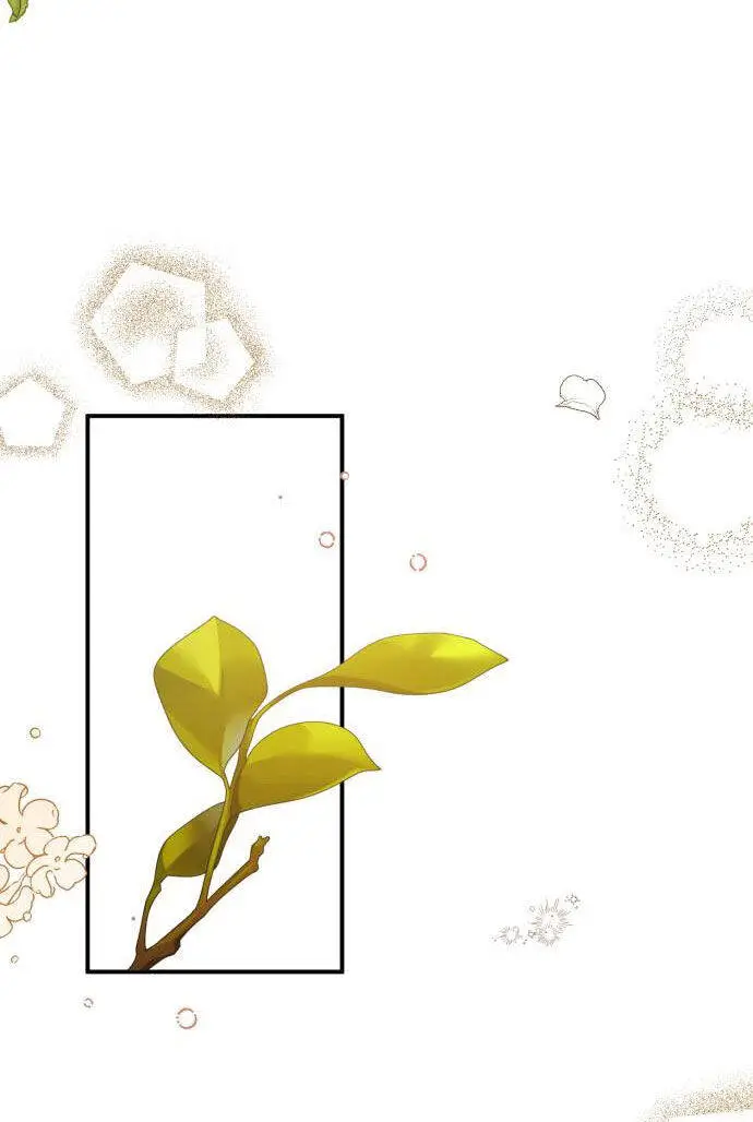 Tôi Sẽ Ly Hôn Với Người Chồng Bạo Chúa Của Mình Nettruyen ZZZ Chương 49.2 Page 3