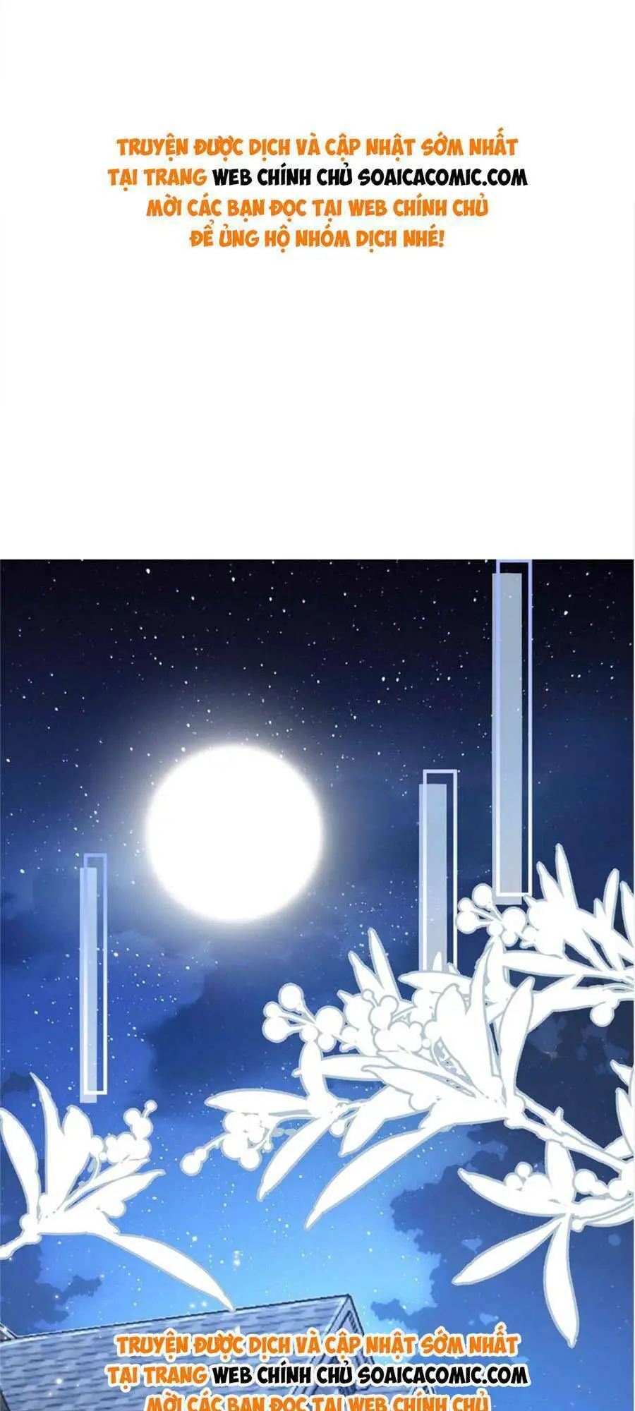 Cô Vợ Của Tôi Không Dễ Bắt Nạt Nettruyen ZZZ Chương 86 Page 1