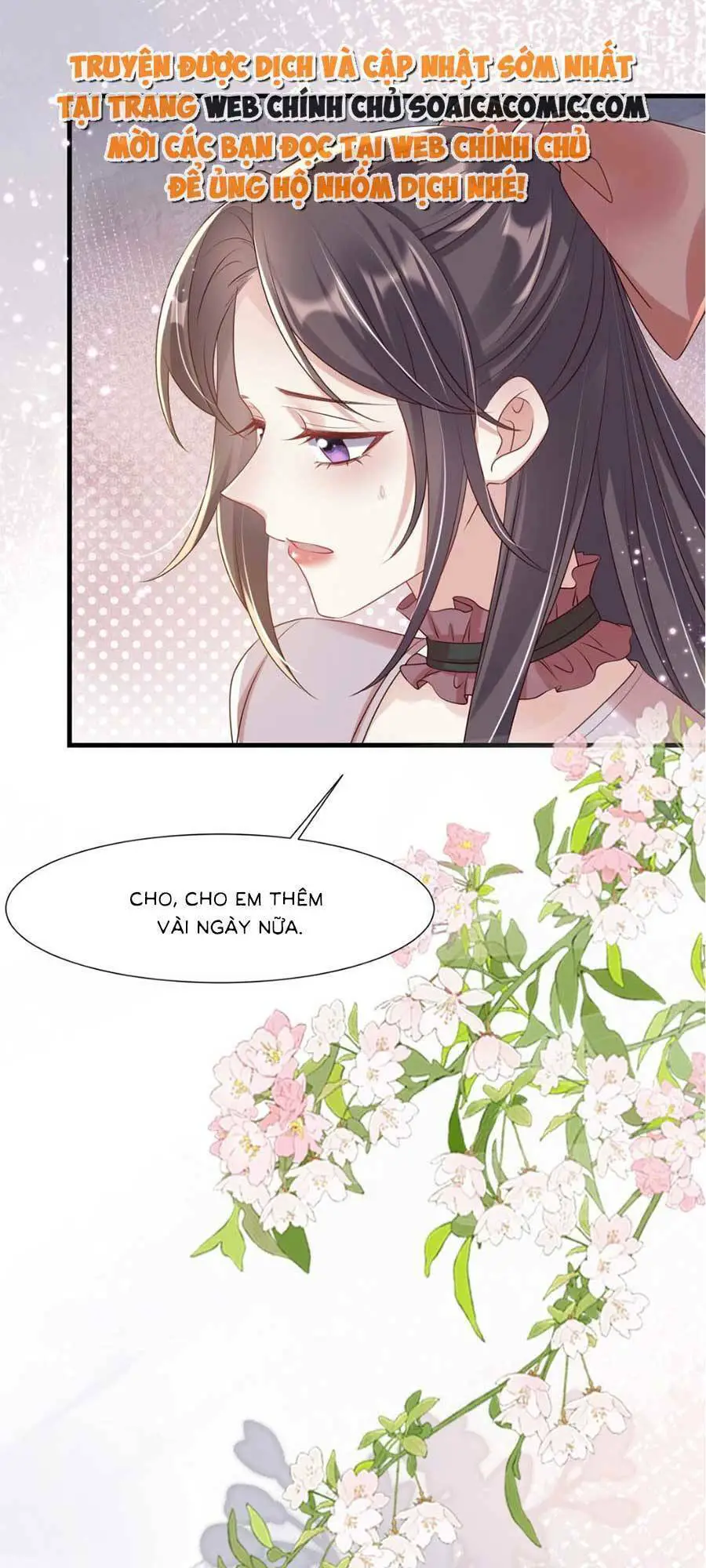 Vợ Tôi Là Boss Ngầm Đầy Quyền Lực Nettruyen ZZZ Chương 33 Page 27