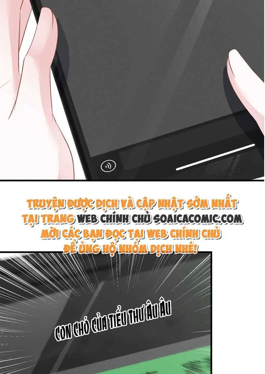 Vợ Tôi Là Boss Ngầm Đầy Quyền Lực Nettruyen ZZZ Chương 26 Page 7