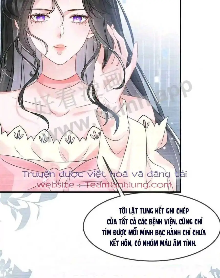 Vợ Tôi Là Boss Ngầm Đầy Quyền Lực Nettruyen ZZZ Chương 39 Page 11