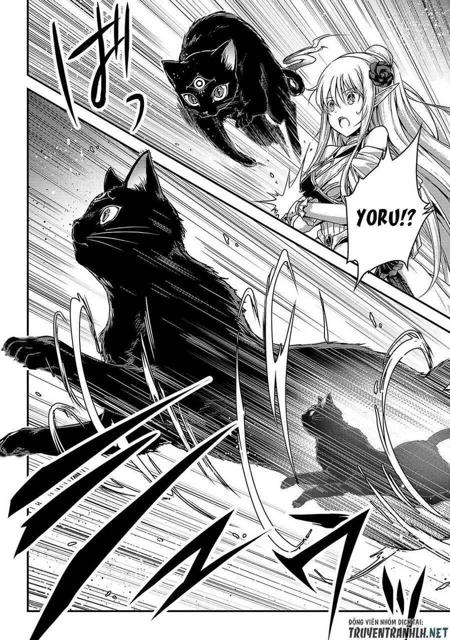 Assassin De Aru Ore No Sutetasu Ga Yuusha Yori Mo Akiraka Ni Tsuyoi Nodaga Nettruyen ZZZ Chương 17 Page 4
