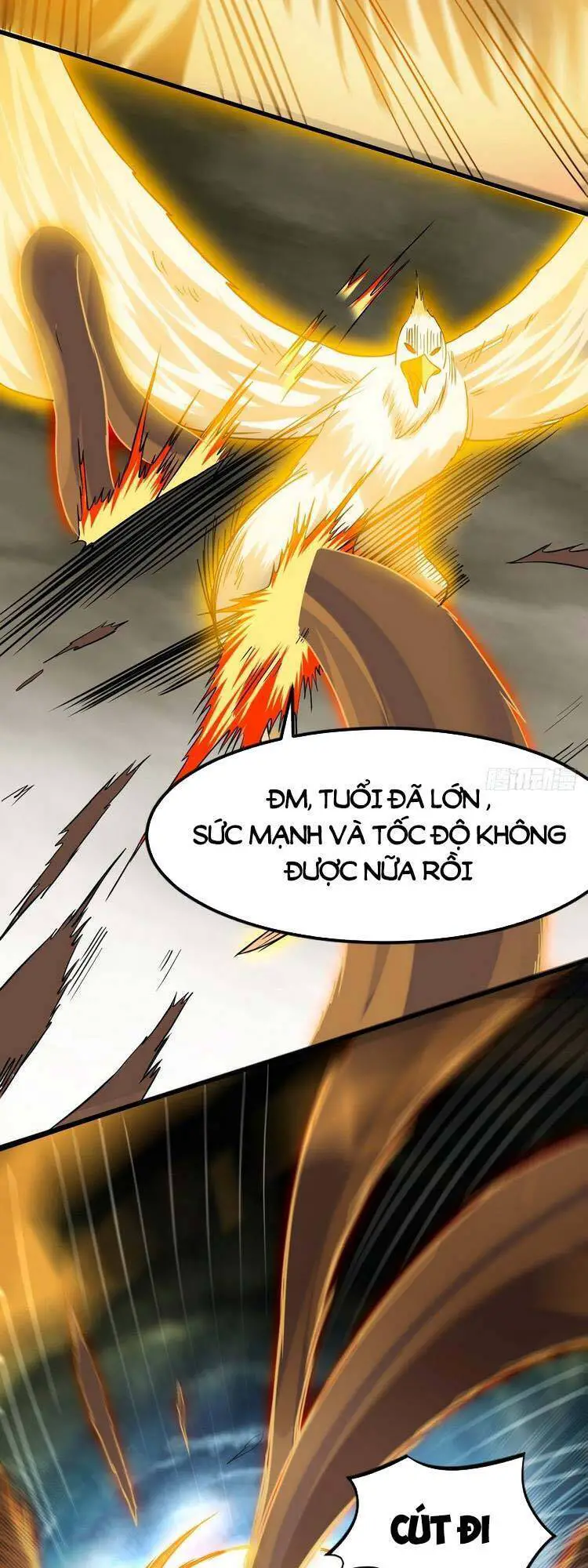 Đệ Tử Của Ta Đều Là Súp Bờ Thần Nettruyen ZZZ Chương 147 Page 13