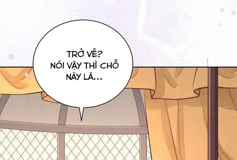 Sổ Tay Sinh Tồn Của Nàng Dâu Hoàng Gia Nettruyen ZZZ Chương 47 Page 17