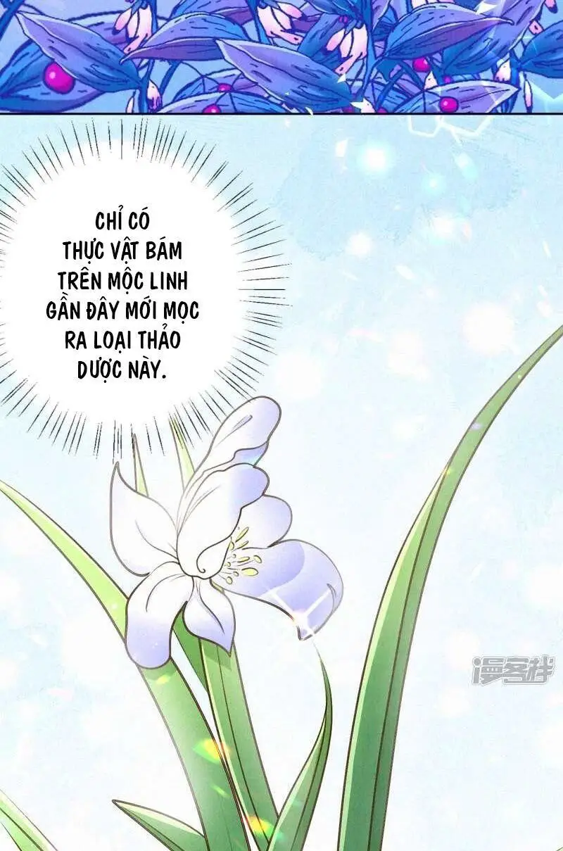 Sổ Tay Sinh Tồn Của Nàng Dâu Hoàng Gia Nettruyen ZZZ Chương 36 Page 3