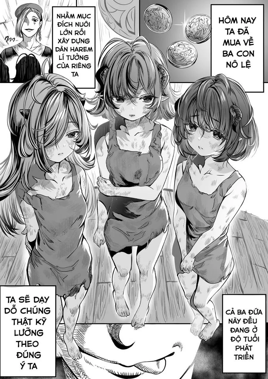 Training Slaves To Make A Harem Nettruyen ZZZ Chương 1 Page 2