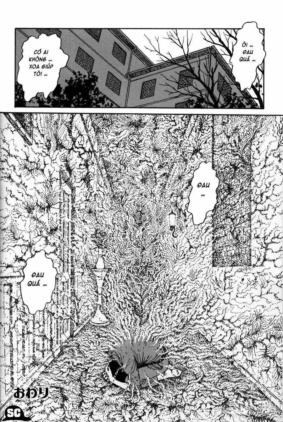 Tuyển Tập Truyện Ngắn Kinh Dị Của Ito Junji Nettruyen ZZZ Chương 15.6 Page 33