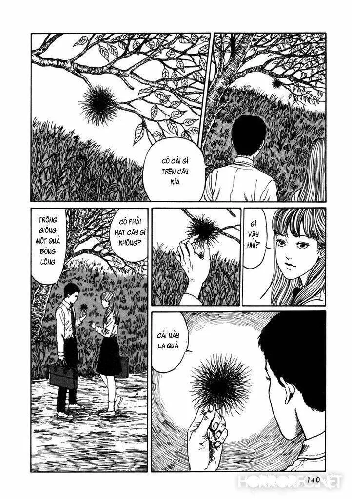 Tuyển Tập Truyện Ngắn Kinh Dị Của Ito Junji Nettruyen ZZZ Chương 14.4 Page 6