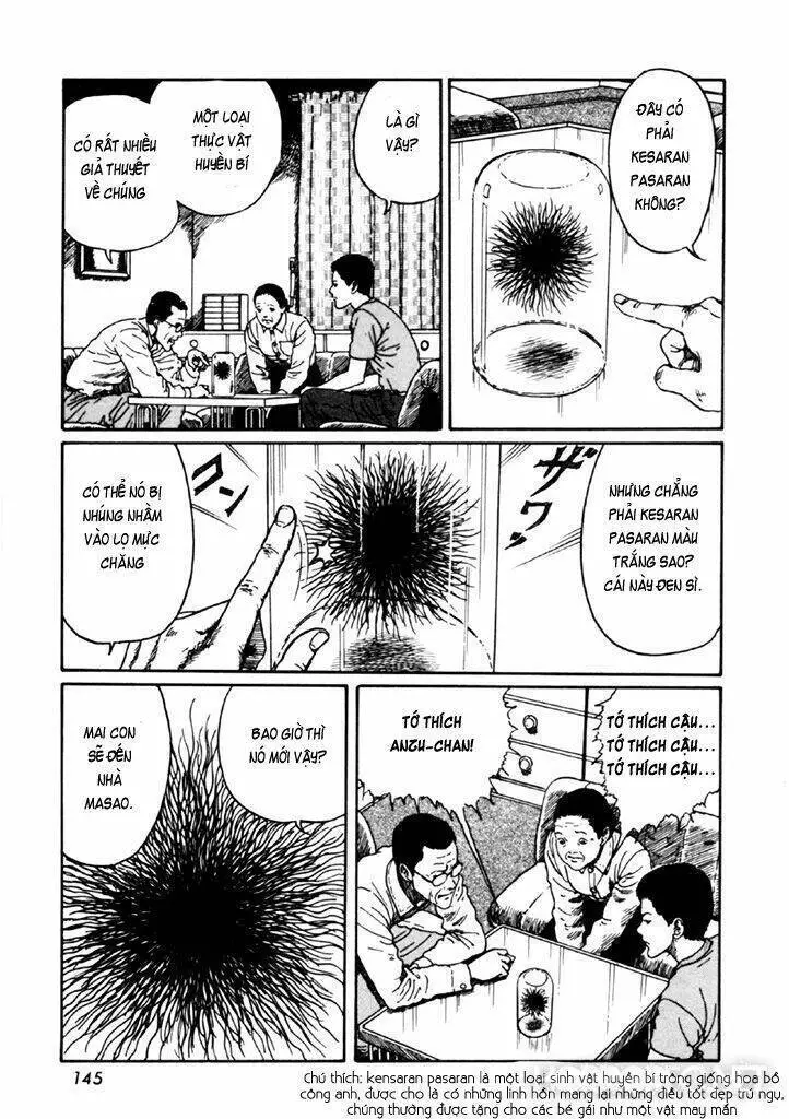 Tuyển Tập Truyện Ngắn Kinh Dị Của Ito Junji Nettruyen ZZZ Chương 14.4 Page 11