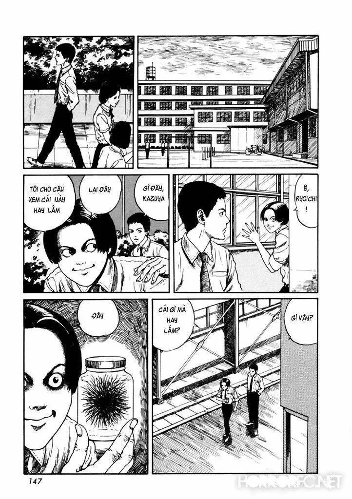 Tuyển Tập Truyện Ngắn Kinh Dị Của Ito Junji Nettruyen ZZZ Chương 14.4 Page 13