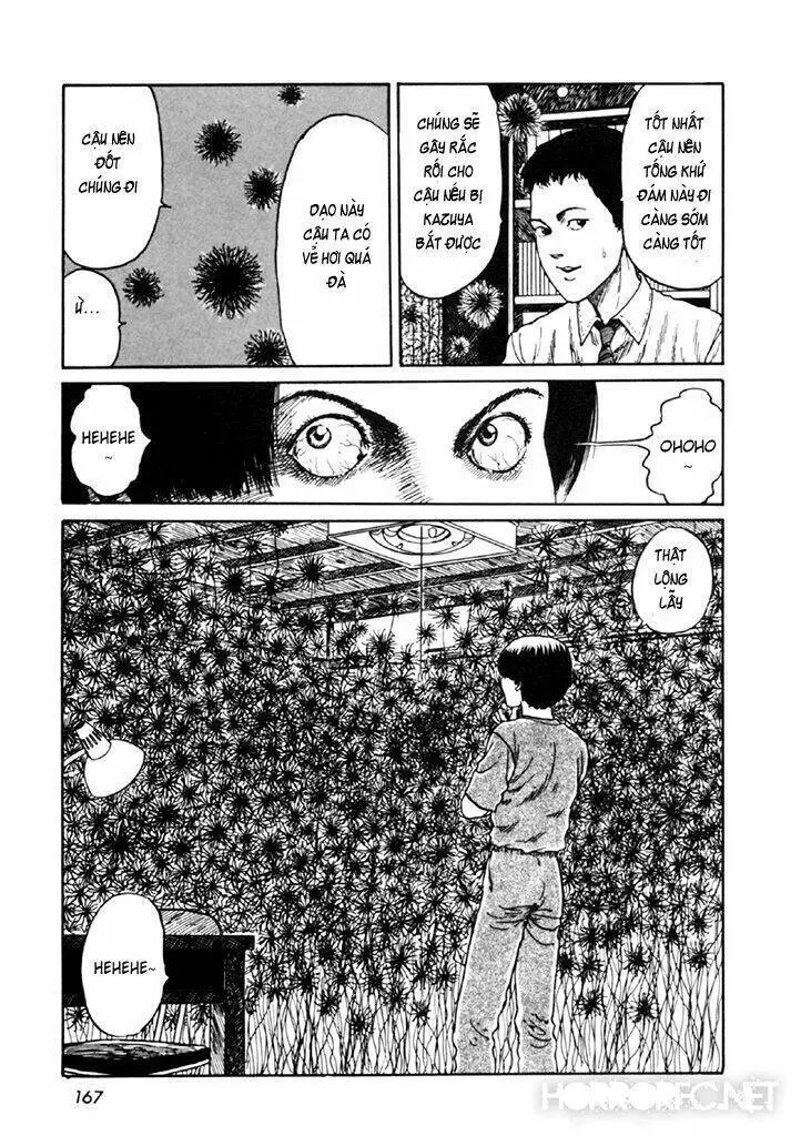 Tuyển Tập Truyện Ngắn Kinh Dị Của Ito Junji Nettruyen ZZZ Chương 14.4 Page 32