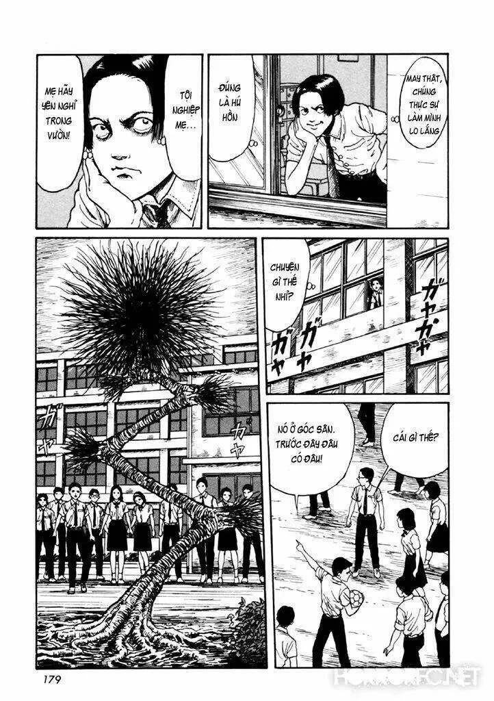 Tuyển Tập Truyện Ngắn Kinh Dị Của Ito Junji Nettruyen ZZZ Chương 14.4 Page 44