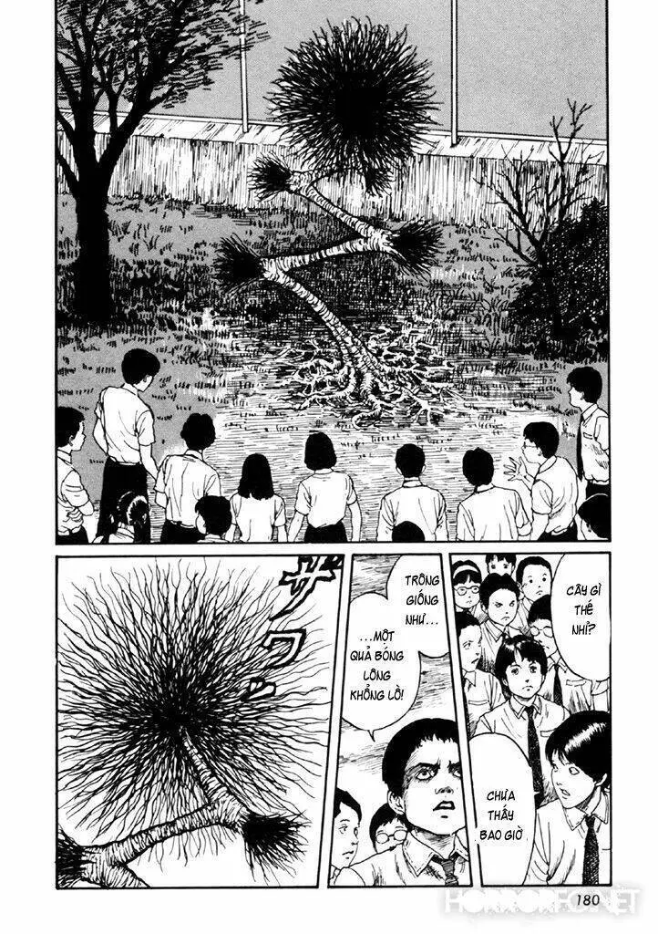 Tuyển Tập Truyện Ngắn Kinh Dị Của Ito Junji Nettruyen ZZZ Chương 14.4 Page 45