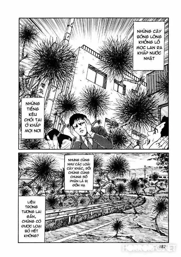 Tuyển Tập Truyện Ngắn Kinh Dị Của Ito Junji Nettruyen ZZZ Chương 14.4 Page 47