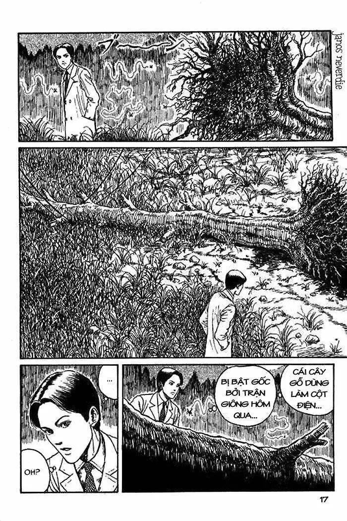 Tuyển Tập Truyện Ngắn Kinh Dị Của Ito Junji Nettruyen ZZZ Chương 14.5 Page 18