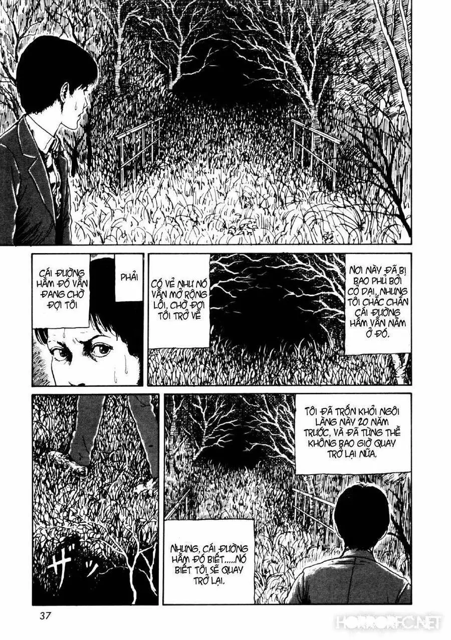 Tuyển Tập Truyện Ngắn Kinh Dị Của Ito Junji Nettruyen ZZZ Chương 14.2 Page 3
