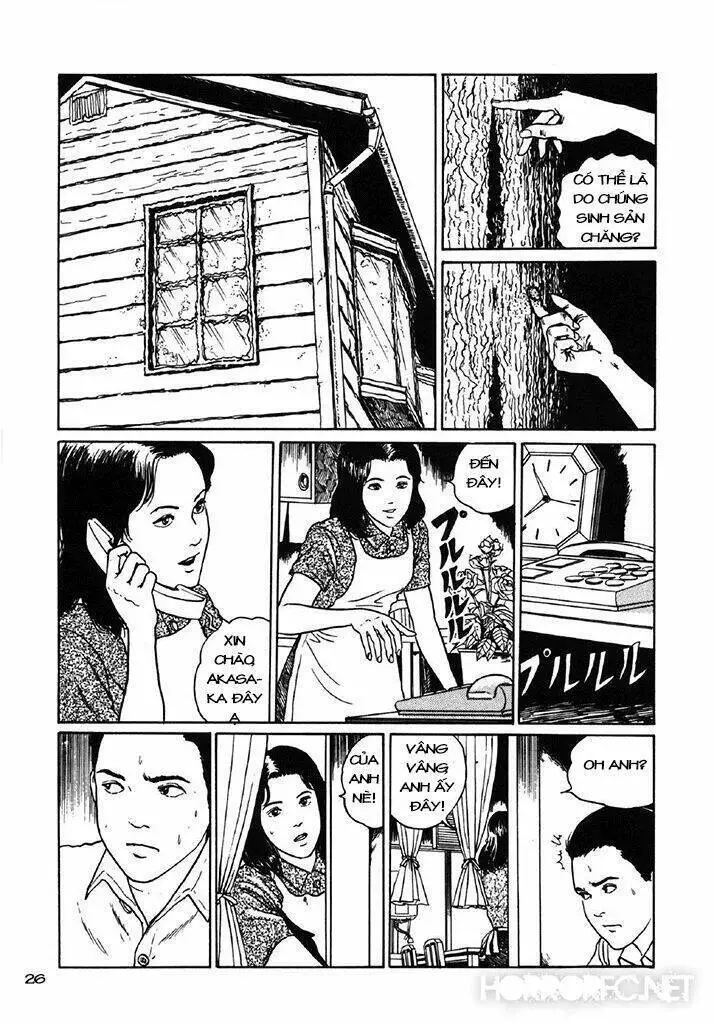 Tuyển Tập Truyện Ngắn Kinh Dị Của Ito Junji Nettruyen ZZZ Chương 7.3 Page 27