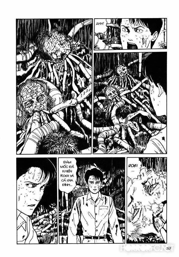 Tuyển Tập Truyện Ngắn Kinh Dị Của Ito Junji Nettruyen ZZZ Chương 7.3 Page 38