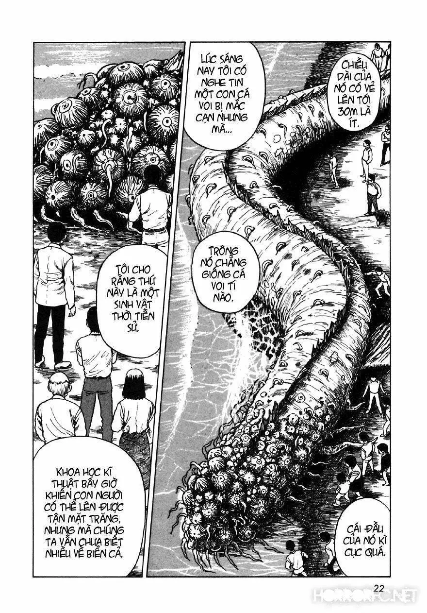 Tuyển Tập Truyện Ngắn Kinh Dị Của Ito Junji Nettruyen ZZZ Chương 7.2 Page 4