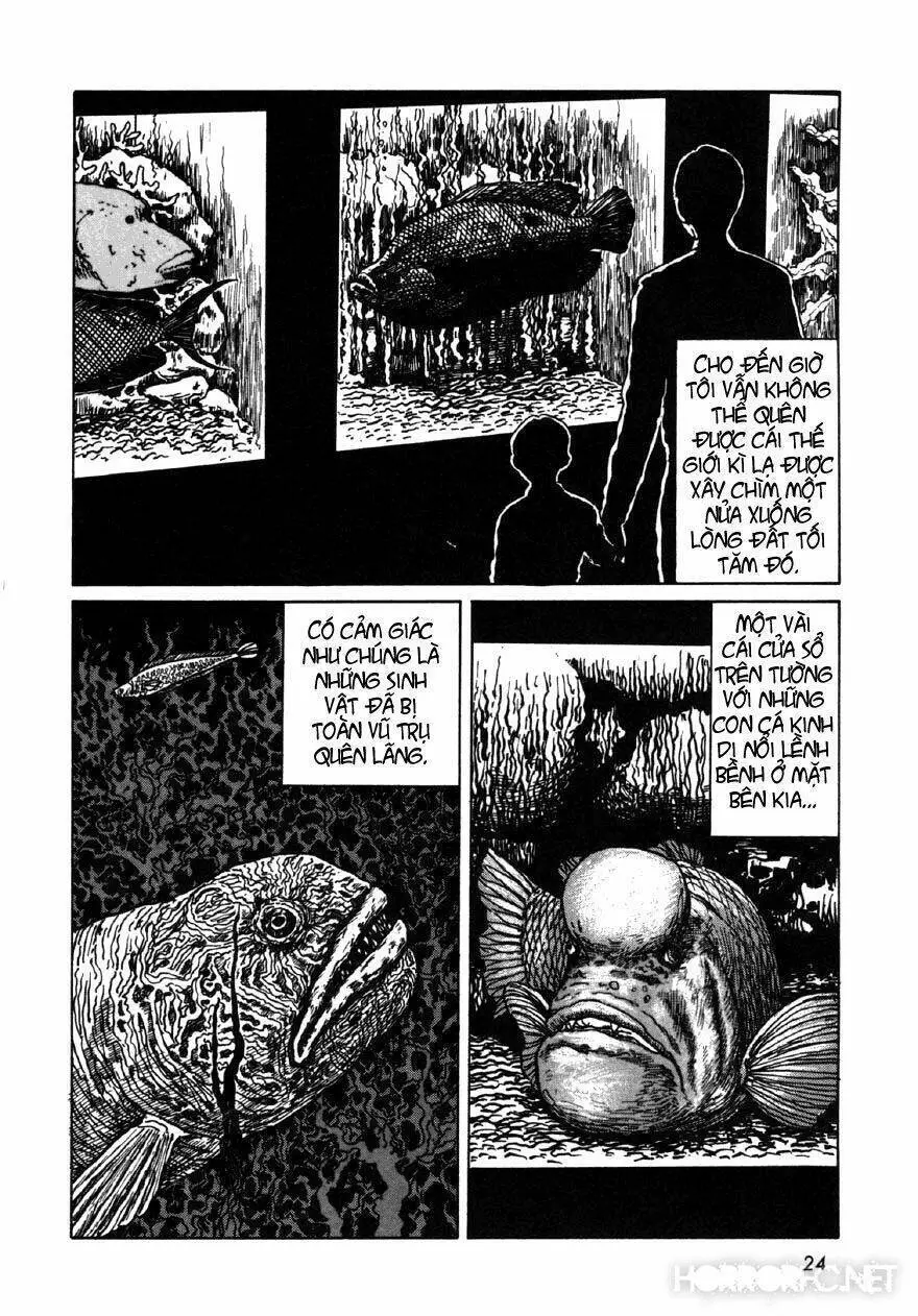 Tuyển Tập Truyện Ngắn Kinh Dị Của Ito Junji Nettruyen ZZZ Chương 7.2 Page 6