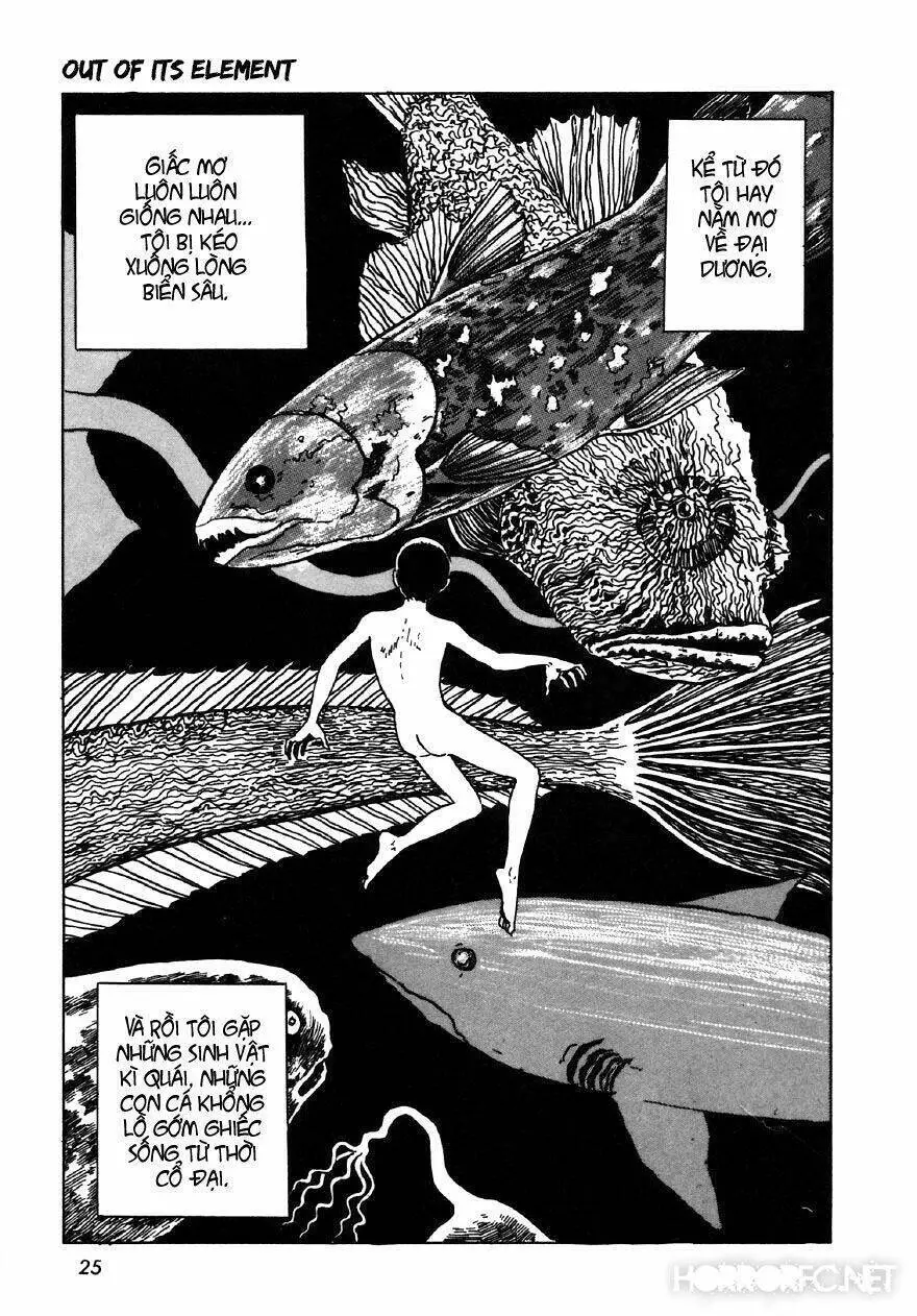 Tuyển Tập Truyện Ngắn Kinh Dị Của Ito Junji Nettruyen ZZZ Chương 7.2 Page 7
