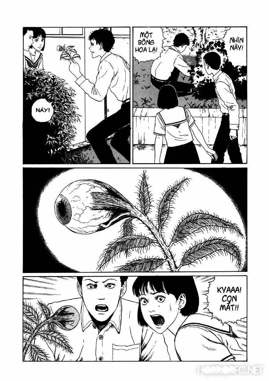 Tuyển Tập Truyện Ngắn Kinh Dị Của Ito Junji Nettruyen ZZZ Chương 11.5 Page 12