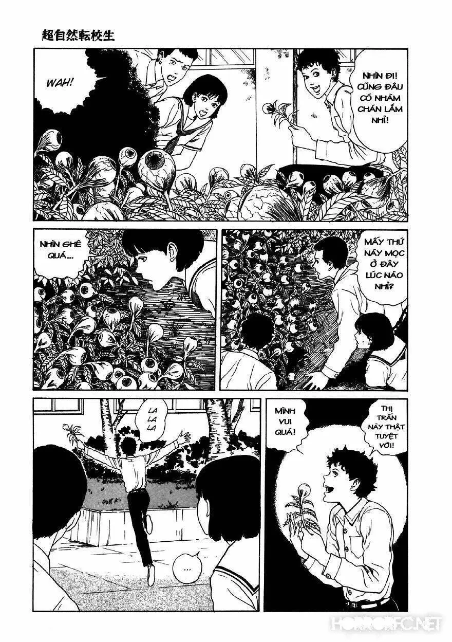 Tuyển Tập Truyện Ngắn Kinh Dị Của Ito Junji Nettruyen ZZZ Chương 11.5 Page 13