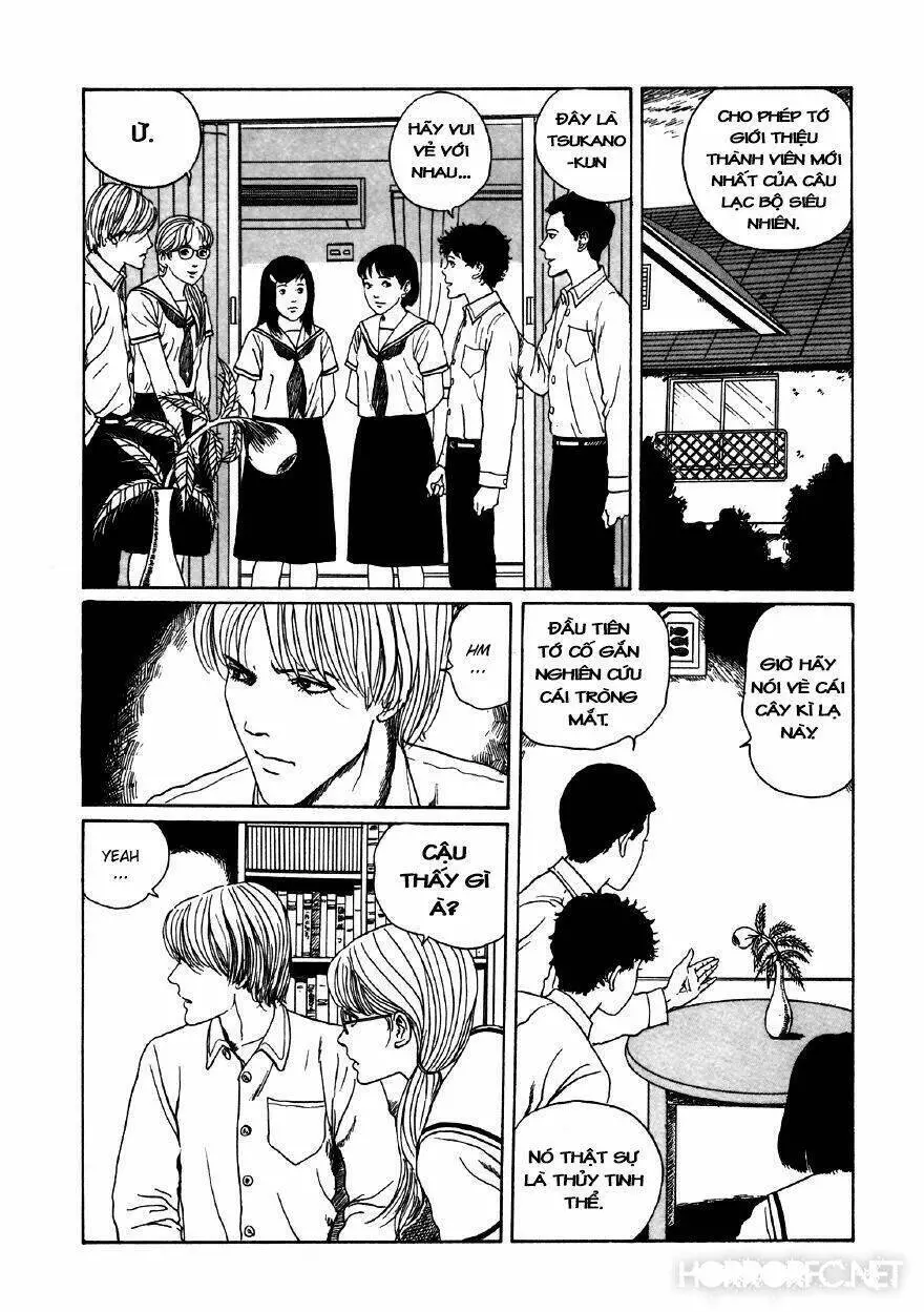 Tuyển Tập Truyện Ngắn Kinh Dị Của Ito Junji Nettruyen ZZZ Chương 11.5 Page 14